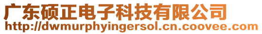 廣東碩正電子科技有限公司