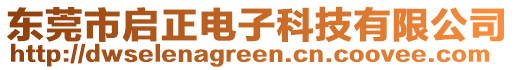 東莞市啟正電子科技有限公司