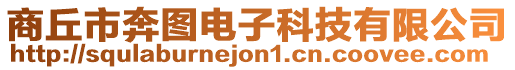 商丘市奔圖電子科技有限公司