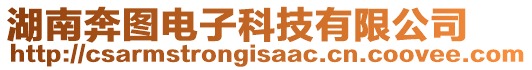 湖南奔圖電子科技有限公司