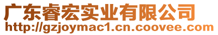 廣東睿宏實(shí)業(yè)有限公司