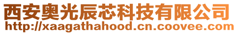 西安奧光辰芯科技有限公司
