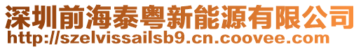 深圳前海泰粵新能源有限公司