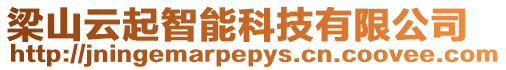 梁山云起智能科技有限公司
