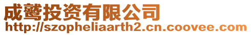 成鷲投資有限公司