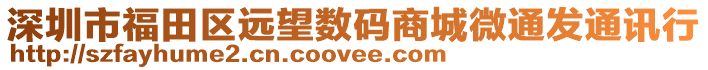 深圳市福田區(qū)遠(yuǎn)望數(shù)碼商城微通發(fā)通訊行