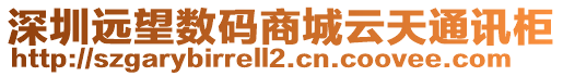 深圳遠(yuǎn)望數(shù)碼商城云天通訊柜