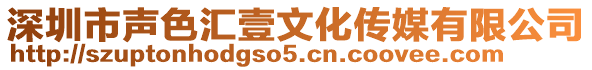 深圳市聲色匯壹文化傳媒有限公司