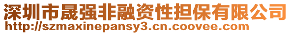 深圳市晟強非融資性擔保有限公司