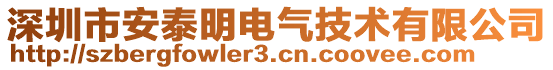 深圳市安泰明電氣技術(shù)有限公司