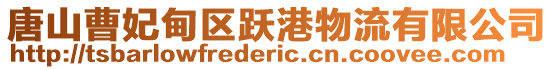 唐山曹妃甸區躍港物流有限公司