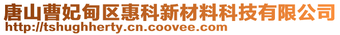 唐山曹妃甸區(qū)惠科新材料科技有限公司