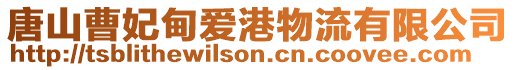 唐山曹妃甸愛港物流有限公司