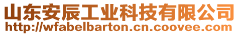 山東安辰工業科技有限公司