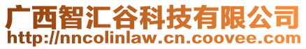 廣西智匯谷科技有限公司