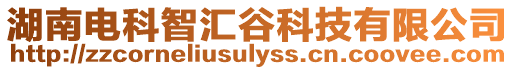 湖南電科智匯谷科技有限公司