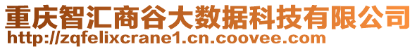 重慶智匯商谷大數(shù)據(jù)科技有限公司