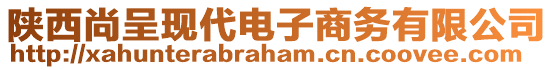 陜西尚呈現(xiàn)代電子商務(wù)有限公司