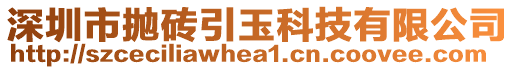 深圳市拋磚引玉科技有限公司