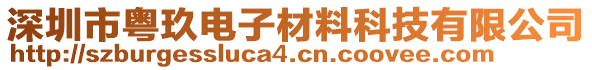 深圳市粵玖電子材料科技有限公司