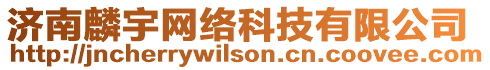 濟(jì)南麟宇網(wǎng)絡(luò)科技有限公司