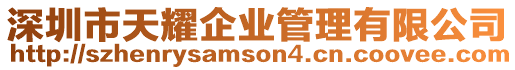 深圳市天耀企業(yè)管理有限公司