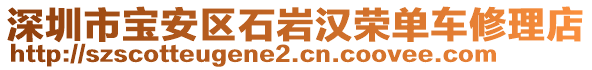 深圳市寶安區(qū)石巖漢榮單車修理店