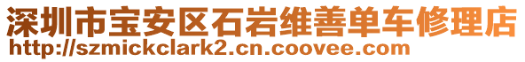 深圳市寶安區(qū)石巖維善單車修理店