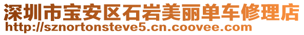 深圳市寶安區(qū)石巖美麗單車修理店