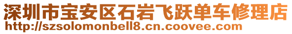 深圳市寶安區(qū)石巖飛躍單車修理店