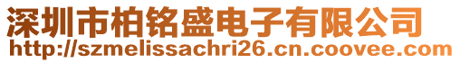 深圳市柏銘盛電子有限公司