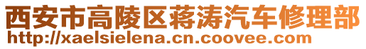 西安市高陵區(qū)蔣濤汽車修理部