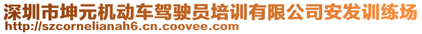 深圳市坤元機動車駕駛員培訓有限公司安發(fā)訓練場