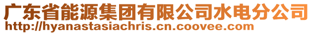 廣東省能源集團(tuán)有限公司水電分公司