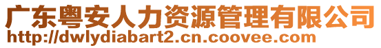 廣東粵安人力資源管理有限公司