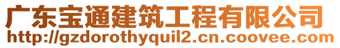 廣東寶通建筑工程有限公司