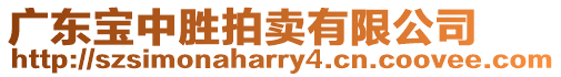 廣東寶中勝拍賣有限公司