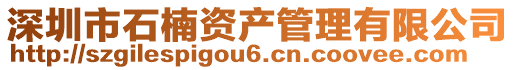 深圳市石楠資產(chǎn)管理有限公司