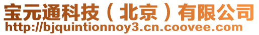 寶元通科技(北京)有限公司