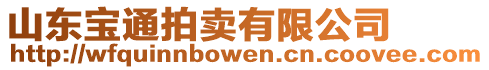 山東寶通拍賣有限公司