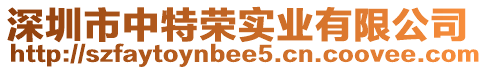 深圳市中特榮實業有限公司