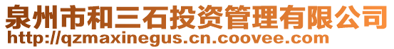 泉州市和三石投資管理有限公司