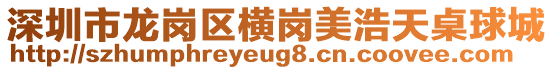 深圳市龍崗區橫崗美浩天桌球城