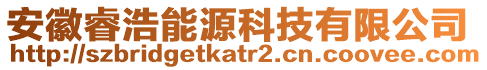 安徽睿浩能源科技有限公司