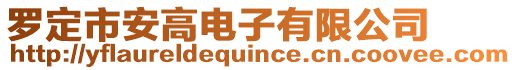 羅定市安高電子有限公司