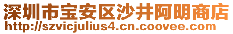 深圳市寶安區(qū)沙井阿明商店