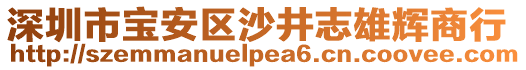 深圳市寶安區(qū)沙井志雄輝商行