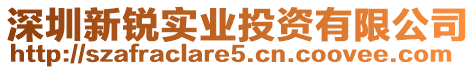 深圳新銳實業(yè)投資有限公司
