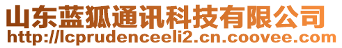 山東藍(lán)狐通訊科技有限公司