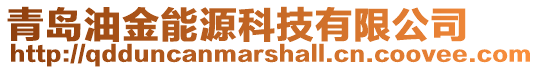 青島油金能源科技有限公司